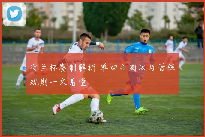 荷兰杯赛制解析 单回合淘汰与晋级规则一文看懂