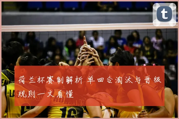 荷兰杯赛制解析 单回合淘汰与晋级规则一文看懂