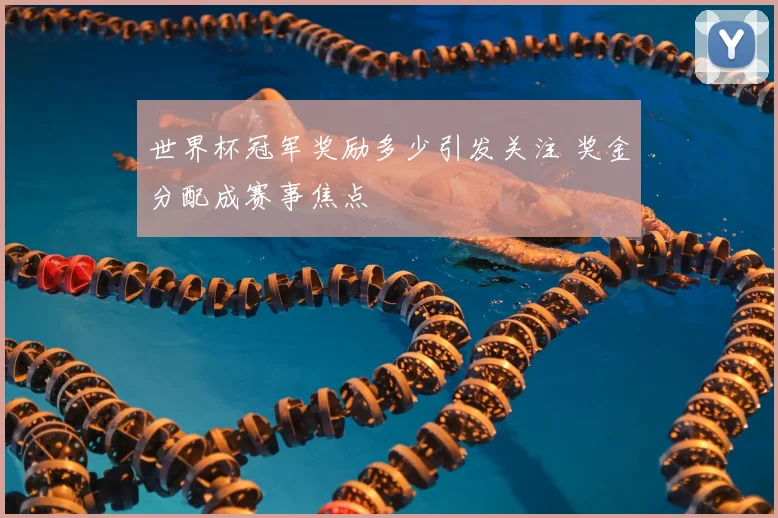 世界杯冠军奖励多少引发关注 奖金分配成赛事焦点